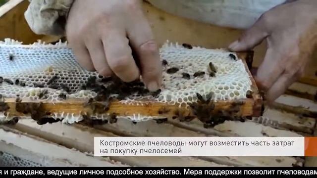 День города от 15 июля 2020
