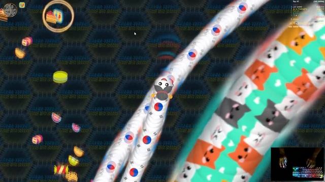 Wormate.io Best Trolling Pro Never Mess With Tiny Snake Epic Wormate Funny/Best Moments! 4K