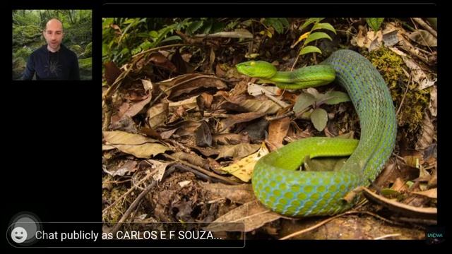 Italian TV host, PhD naturalist, wildlife professional Emanuele Biggi showcases macro photography.