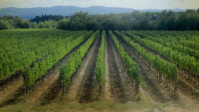 IL BORRO Relais and Chateaux – эксклюзивный курорт в Тоскане