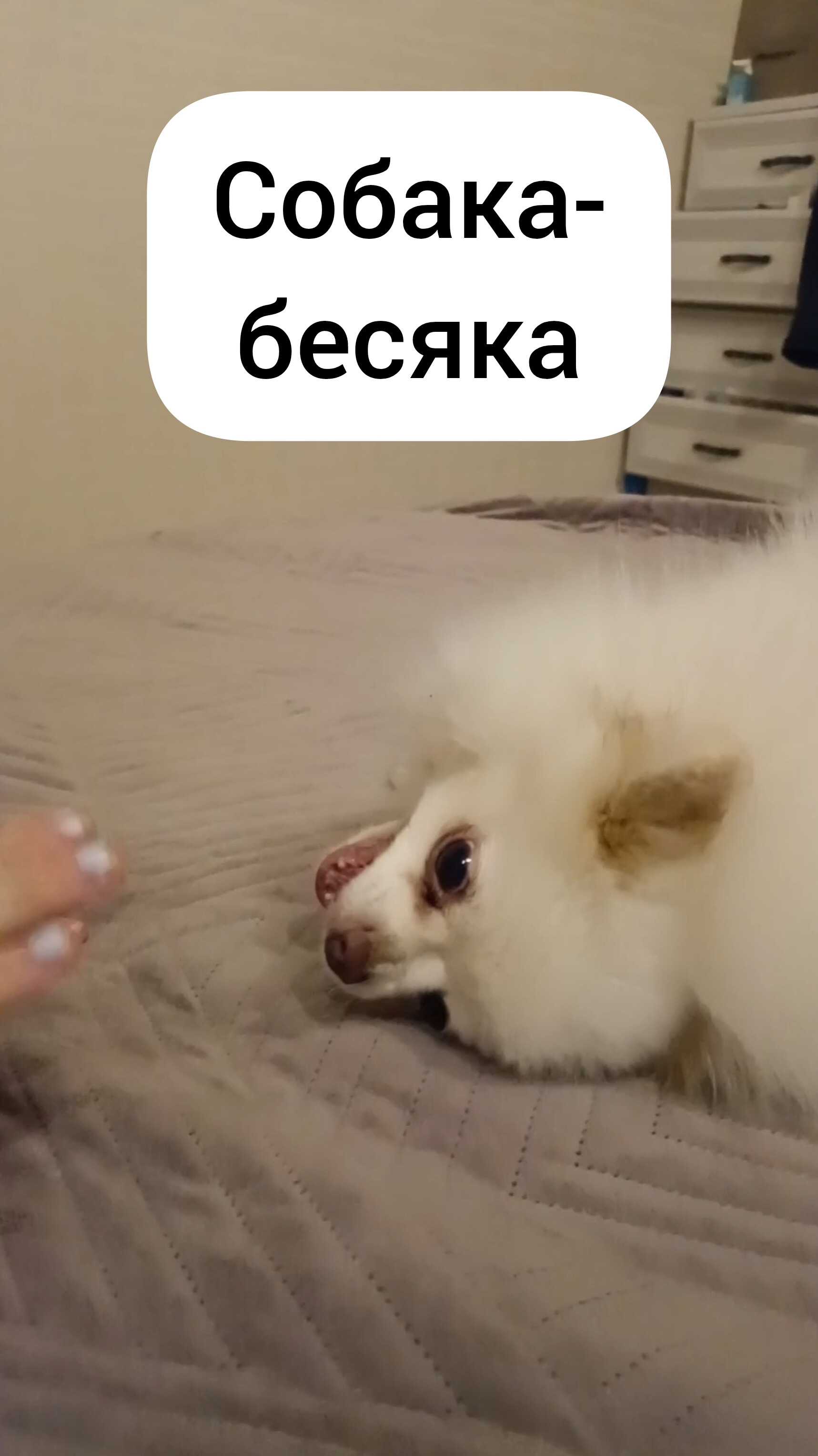 Все, кто вышел на работу в понедельник