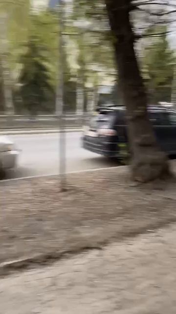 Тестируем чесночки