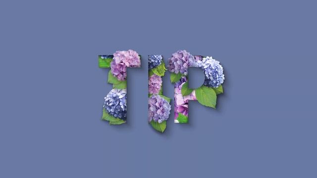 Tuinplanten in topvorm | Tip van Pokon | Pokon Bio Tuinmest