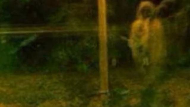 El monje Fantasma