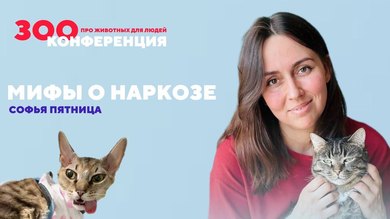 Мифы о наркозе животных | Софья Пятница | ЗООКОНФЕРЕНЦИЯ