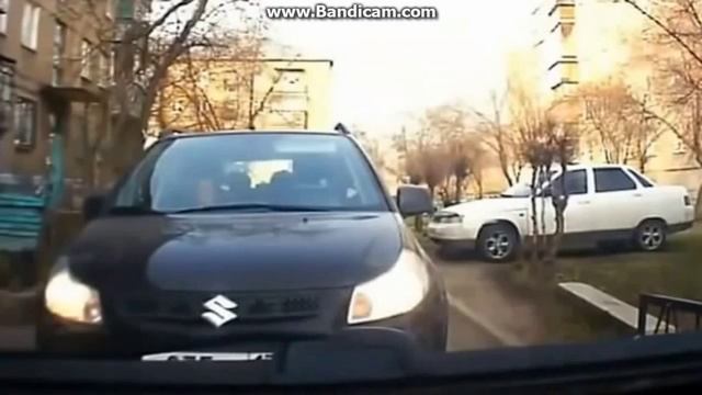 КУРЫ ЗА РУЛЕМ!!!