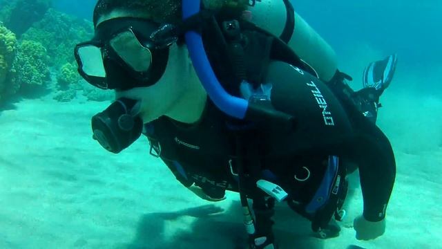 SCUBA Diving at Black Sand Beach, Kona, Hawaii