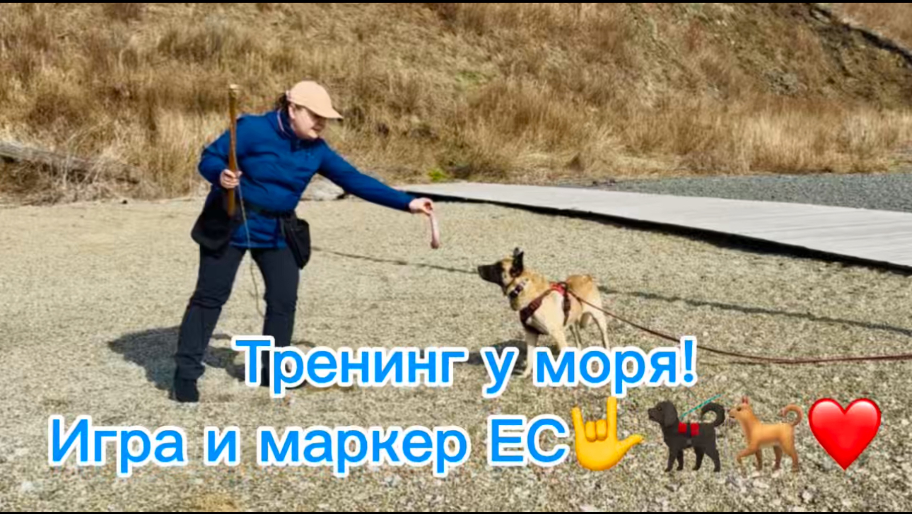 Сегодня развиваем игровую мотивацию!