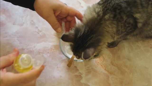 جربي مزيل العرق هذا صناعة يدوية ويدوم مفعوله طوال اليوم Homemade Deodorant That Lasts all Day