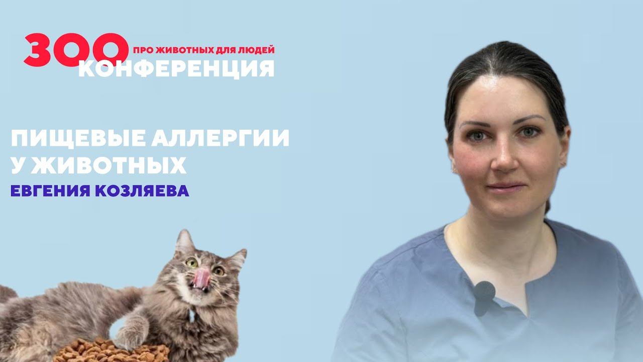 Пищевые аллегории у животных, симптомы, лечение | Евгения Козляева | ЗООКОНФЕРЕНЦИЯ