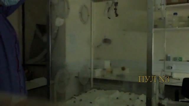 Пчелы 🐝 не умеют летать в темноте