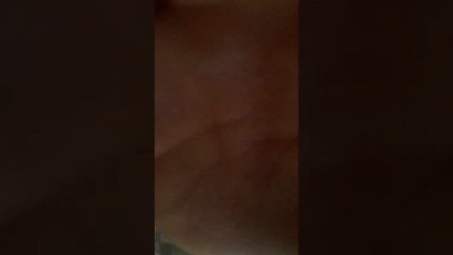 минские муравьи