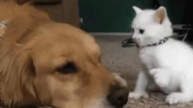 1000001301.mp4