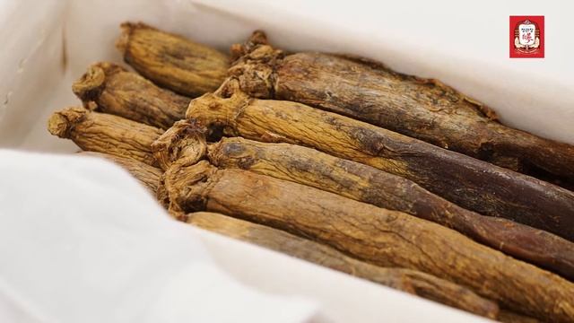 Unboxing Unique Ginseng Roots I Earth Grade #koreanredginseng