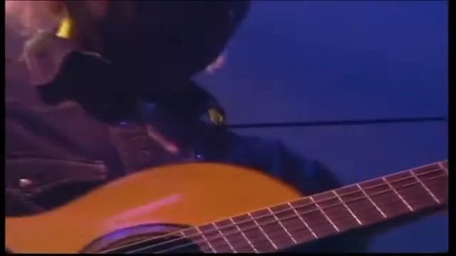 YouTube   Dire Straits   Private Investigations LIVE  On the Night  1993  HD