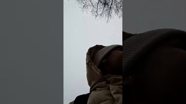 катюша