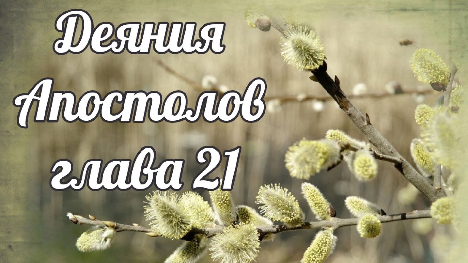 Деяния Апостолов глава 21