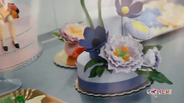 Colibri - Страна сладких грёз