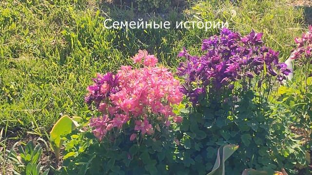 💢 Уже после того как вышла замуж, она начала замечать эти странности за мужем ...