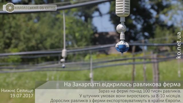 На Закарпатті відкрилась равликова ферма
