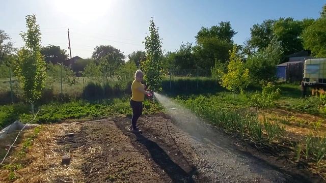 Дом на Юге. Полив готов. Установили окна.