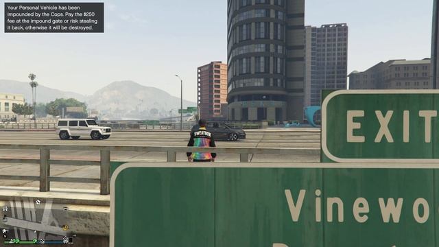 What Happens If You Pick Up A Girl Using The Remote Control Feature On Your Vehicle In GTA 5 Online