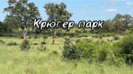 Крюгер парк ЮАР
