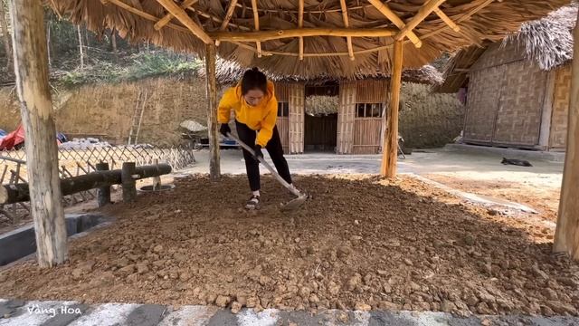 Boil A Whole Black Chicken To Enjoy After Hard Days, Vàng Hoa, king kong amazon
