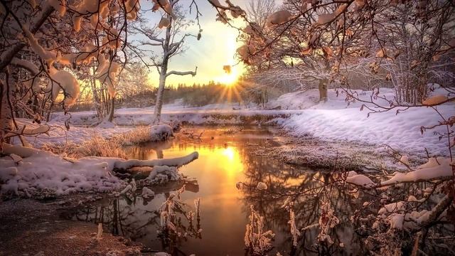Л.Бетховен "Лунная соната" - Ludwig Van Beethoven - Moonlight Sonata. /Music picture/