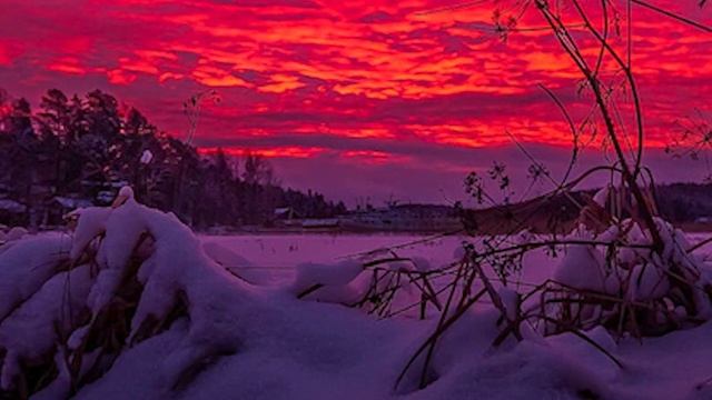 Зимнее безмолвие ....