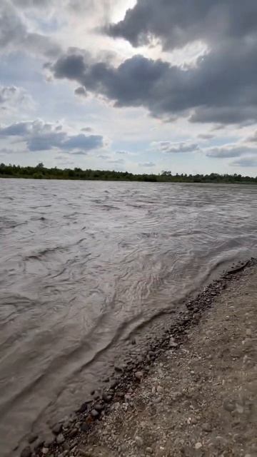 Так и не скажешь, но это Белая река в городе Белореченск