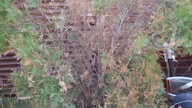 ВЛОГ: МАЙСКИЕ НА ДАЧЕ / ГОСТИ, ГОТОВИМ ШАШЛЫКИ НА ПРИРОДЕ / НАХОДКИ С ОЗОН