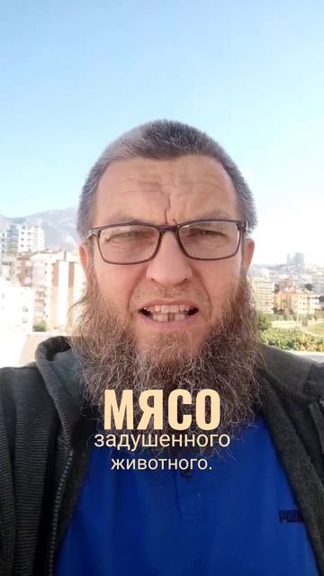 Мудрость:почему животных режем ,а рыб нет.
