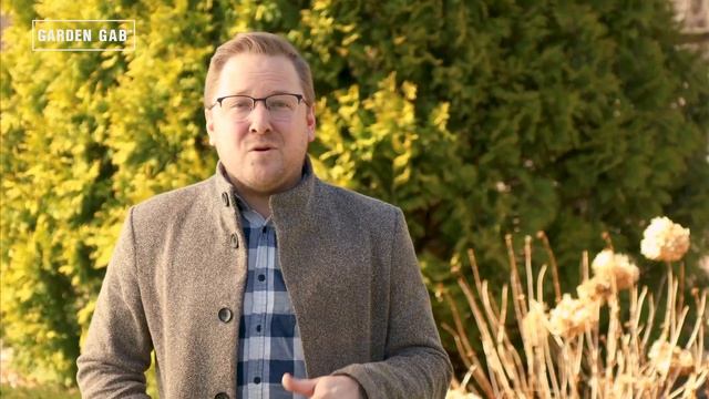 How to Transplant Hydrangeas