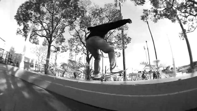 BONES WHEELS - TERRANCE WILLIAMS - TEAM RIDER