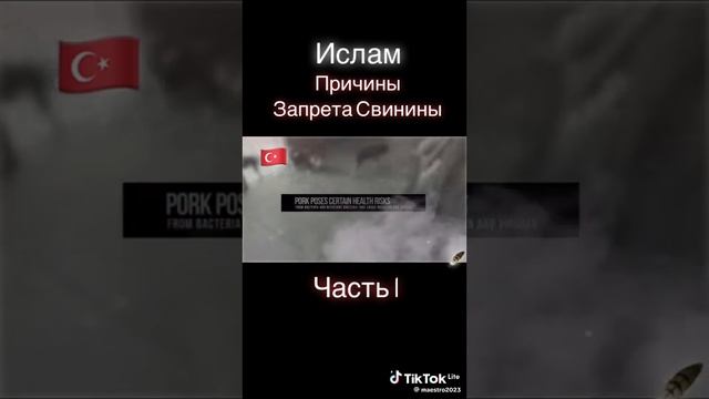 причина запрета свинины