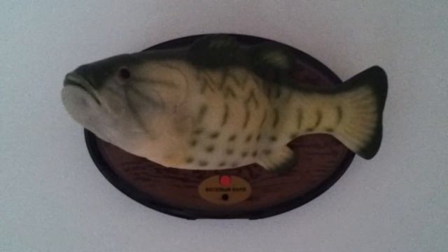 Поющий окунь