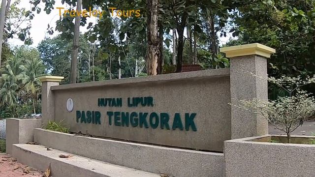 TELOK BEACH | KOK BEACH | TAXI | LANGKAWI AIRPORT