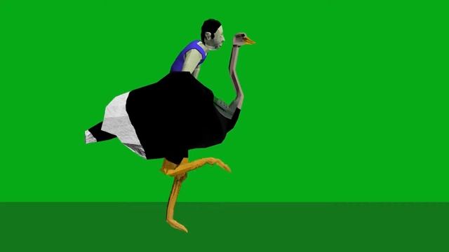 ostrich running