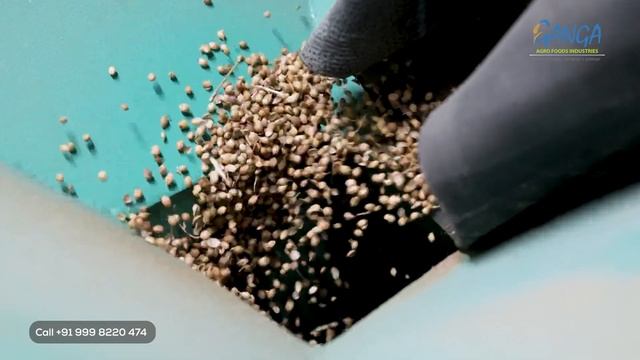 Coriander Sortex Plant | Wheat Cleaning Plant | Cumin-Soyabin-Bajra-Millets Cleaning Plants