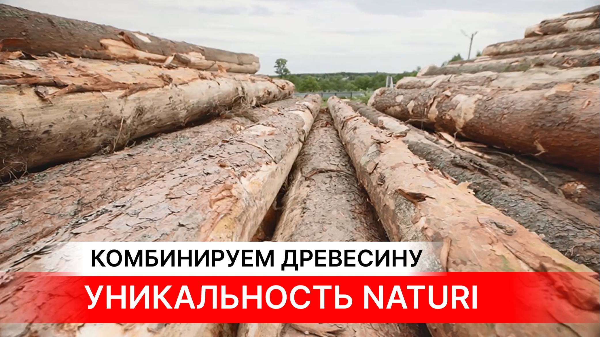 МАГИЯ В ДОМАХ NATURI! Как комбинируются породы древесины в стенах из вертикального бруса NATURI.