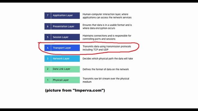 What are the OSI and TCP/IP Models and what does all the layers do?