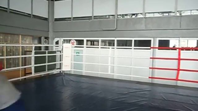 Бойцовский клуб "GLADIATOR" (трен.спаринг) M-1
