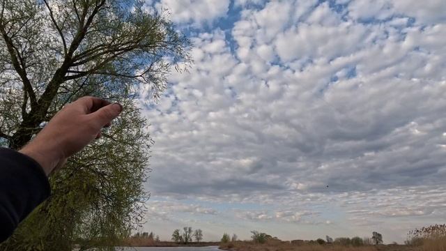 21-04-2025 бирля рыбалка