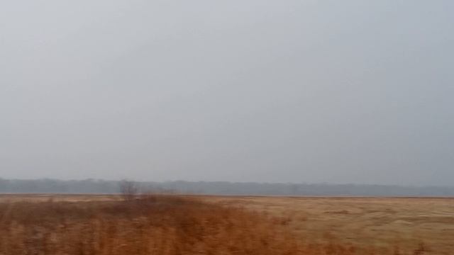 Приехал на охоту