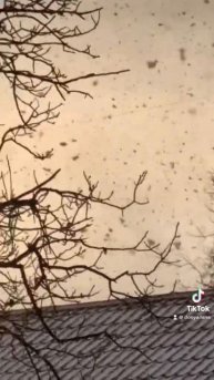 Я шепочу тобі.. #snow #snowfall