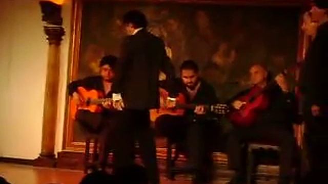 Flamenco Dancing 4