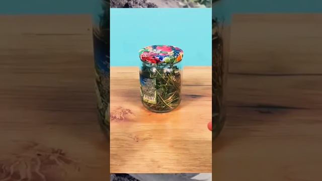 ТАРАНТУЛ У ДОМА ОГРОМНЫЙ