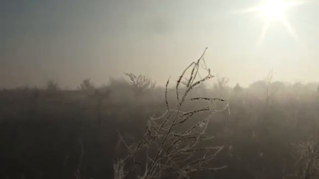 Причины задымления в Борисоглебске