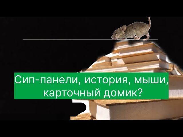 СИП ПАНЕЛИ, ИСТОРИЯ, МЫШИ, КАРТОЧНЫЙ ДОМИК?